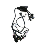 Wiring harness Surron Light bee