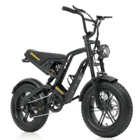 HidoesB6Mini04.jpg